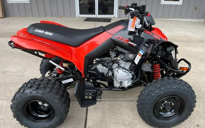 2024 Can-Am DS 250