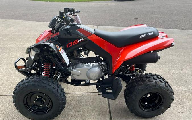 2024 Can-Am DS 250