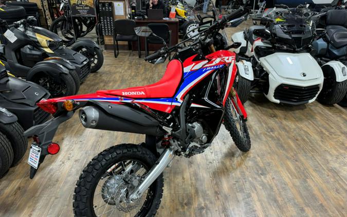 2023 Honda CRF 300L Rally ABS