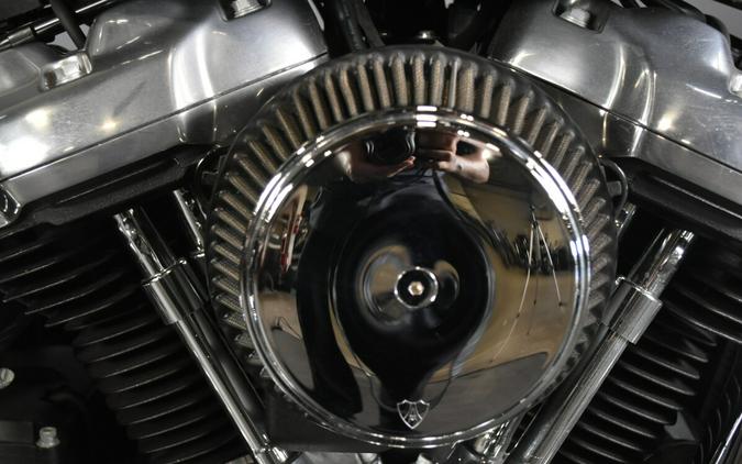 2019 Harley-Davidson Softail Slim FLSL