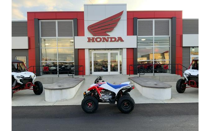 2026 Honda TRX250X