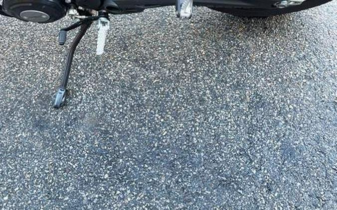 2024 Ducati SRAMBLER ICON 800