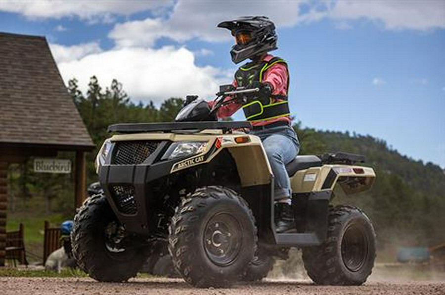 2023 Arctic Cat Alterra 300