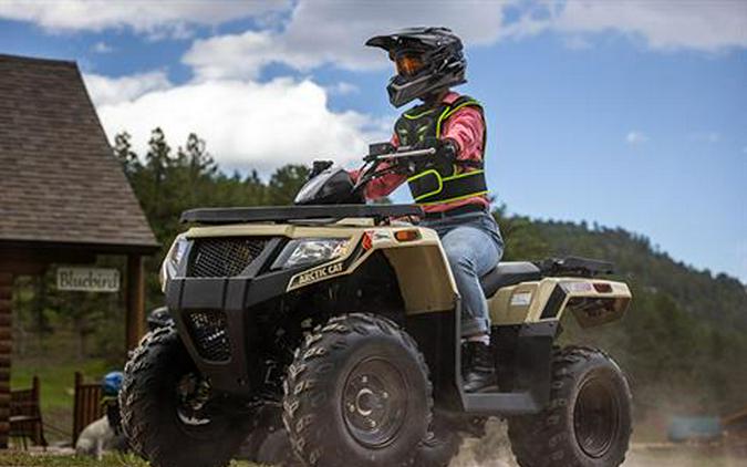 2023 Arctic Cat Alterra 300