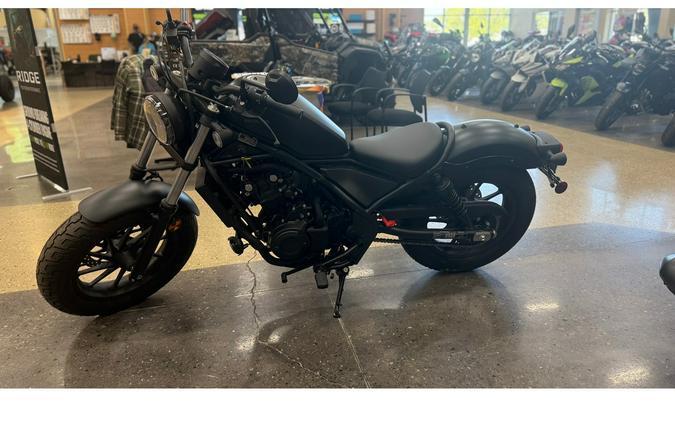 2025 REBEL 500 - Honda