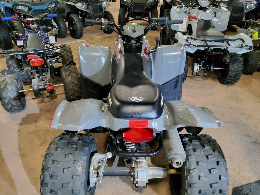 2022 Polaris Phoenix™ 200