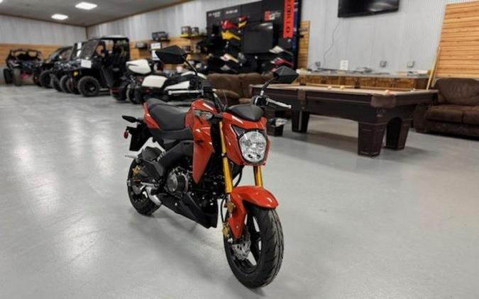 2025 Kawasaki Z125 PRO
