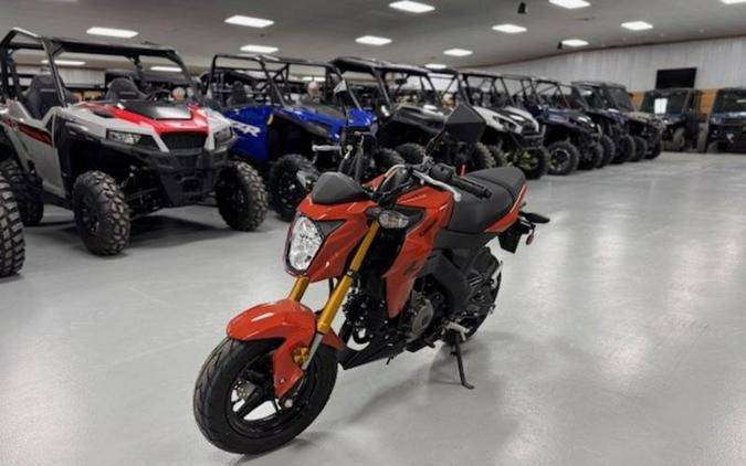 2025 Kawasaki Z125 PRO