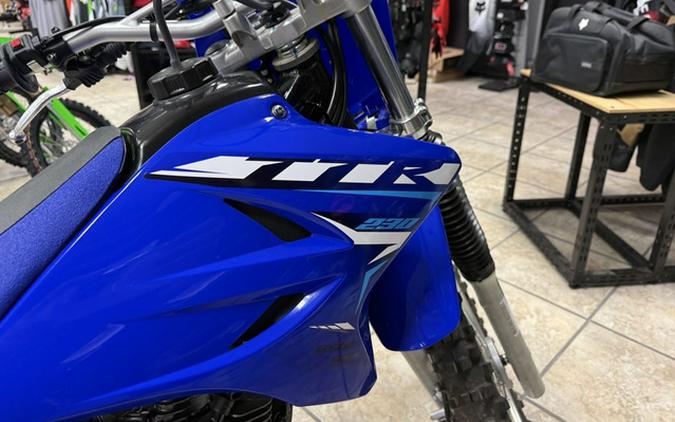 2027 Yamaha TT-R 230