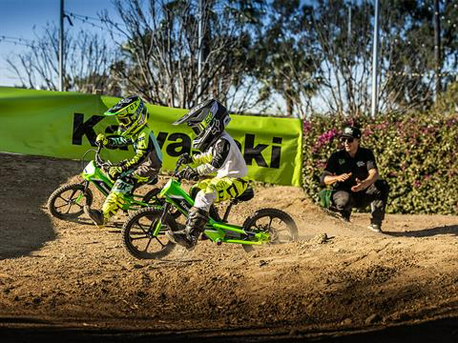 2025 Kawasaki Elektrode 16