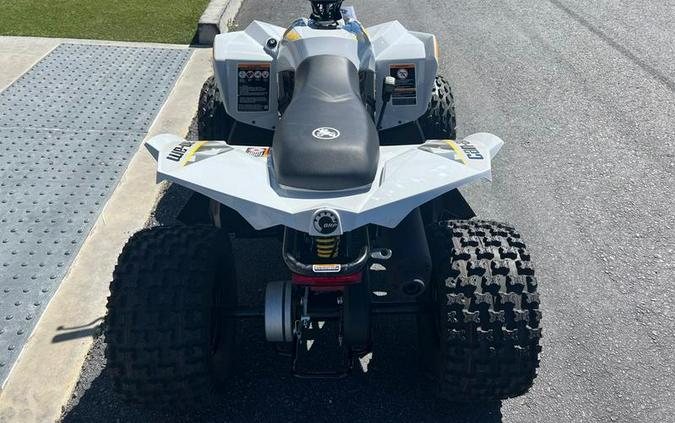 2024 Can-Am® Renegade 110 EFI