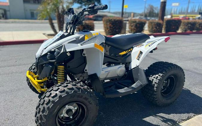 2024 Can-Am® Renegade 110 EFI