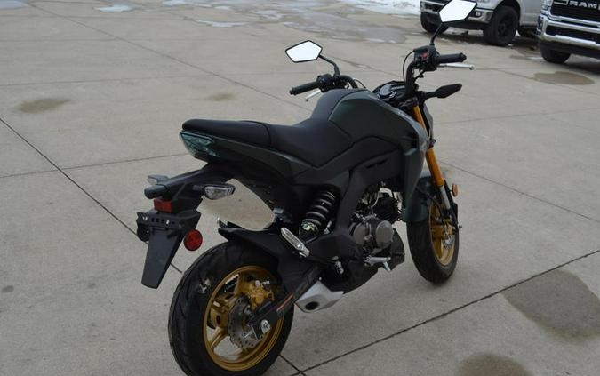 2025 Kawasaki Z125 PRO