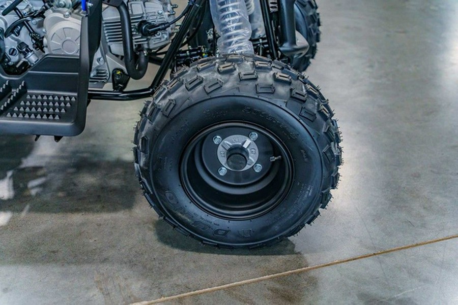 2026 Yamaha Raptor 110