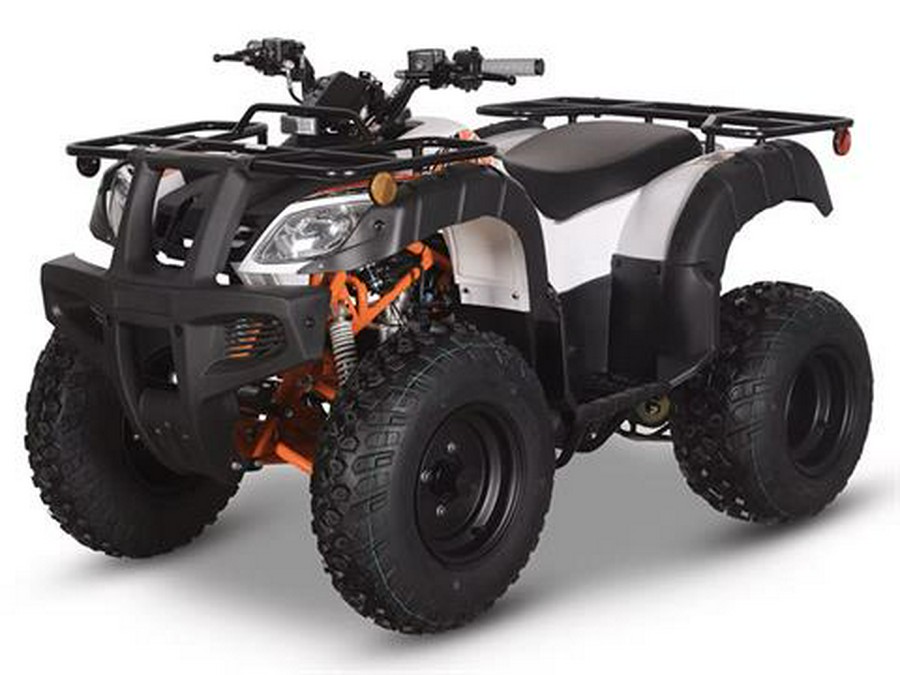 2025 Kayo Bull 150 EFI