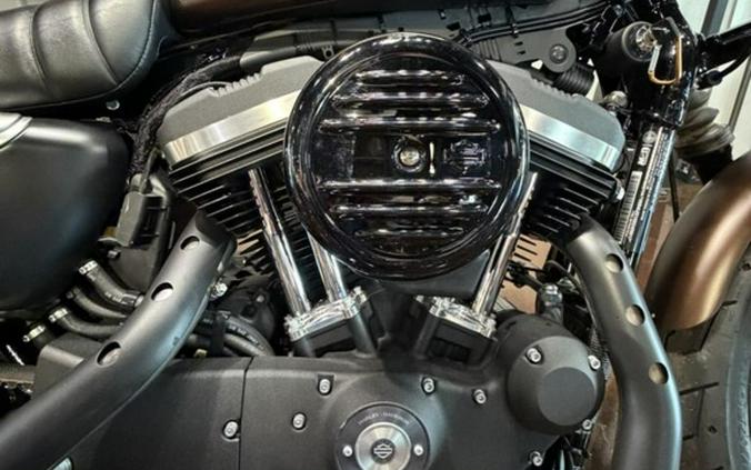 2019 Harley-Davidson Sportster® Iron 883™