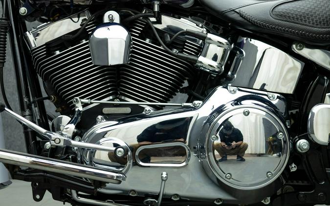 2010 HARLEY DAVIDSON FLSTN SOFTAIL DELUXE