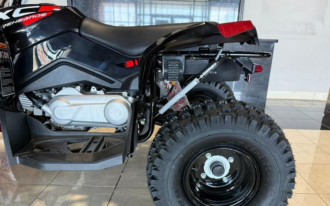2026 Can-AM RENEGADE 110 EFI