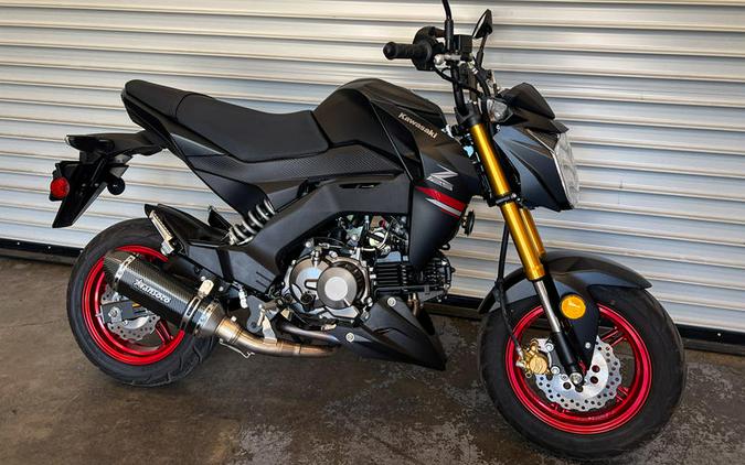 2021 Kawasaki Z125 PRO