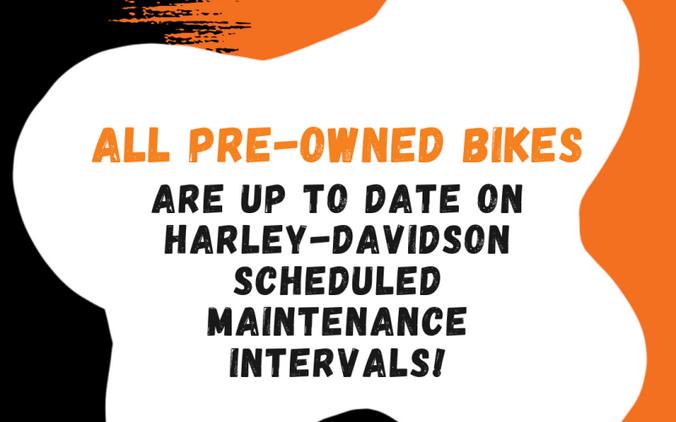 XL 883N 2021 Iron 883™