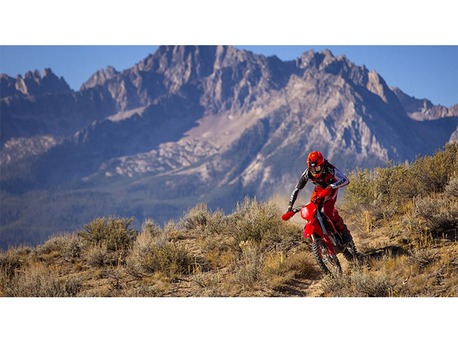 2026 Ducati Desmo450 EDX