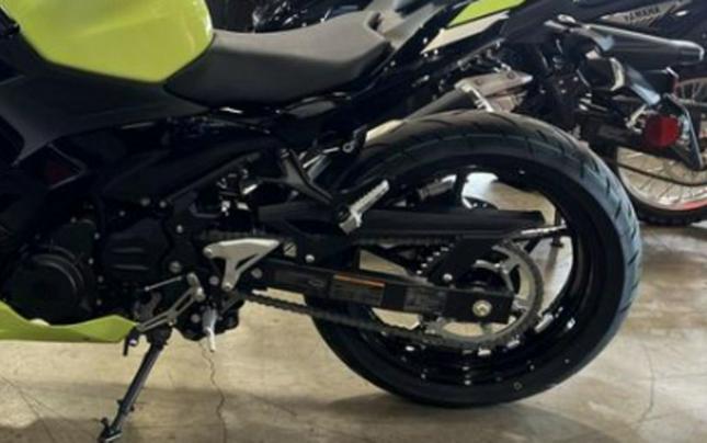 2026 Kawasaki Ninja 500 ABS Metallic Yellowish Green/Ebony