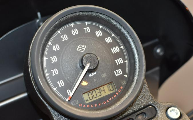 2020 Harley-Davidson Iron 1200