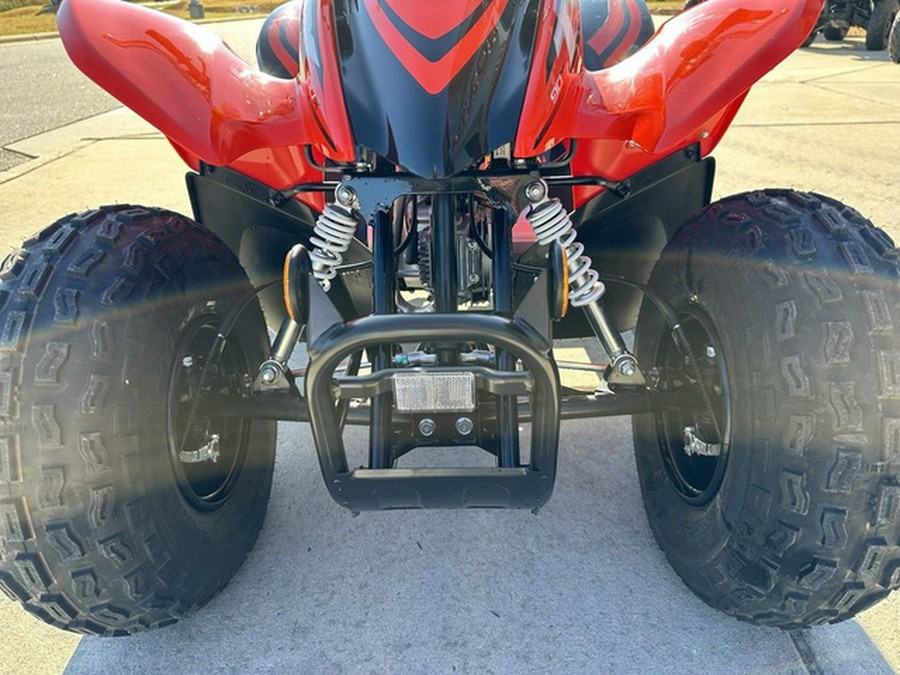 2024 Honda TRX 90X