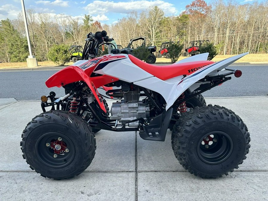 2024 Honda TRX 250X