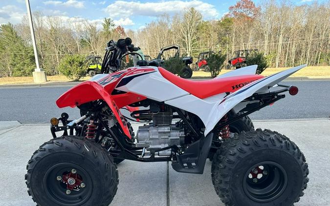 2024 Honda TRX 250X