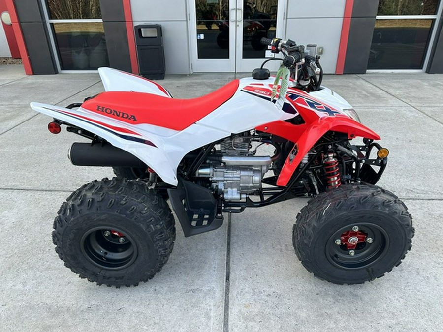 2024 Honda TRX 250X