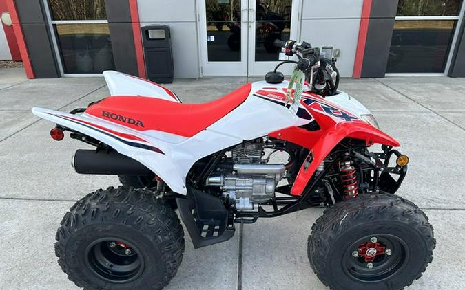 2024 Honda TRX 250X