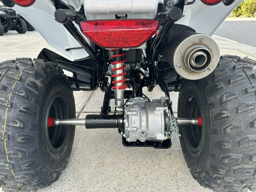 2024 Honda TRX 250X