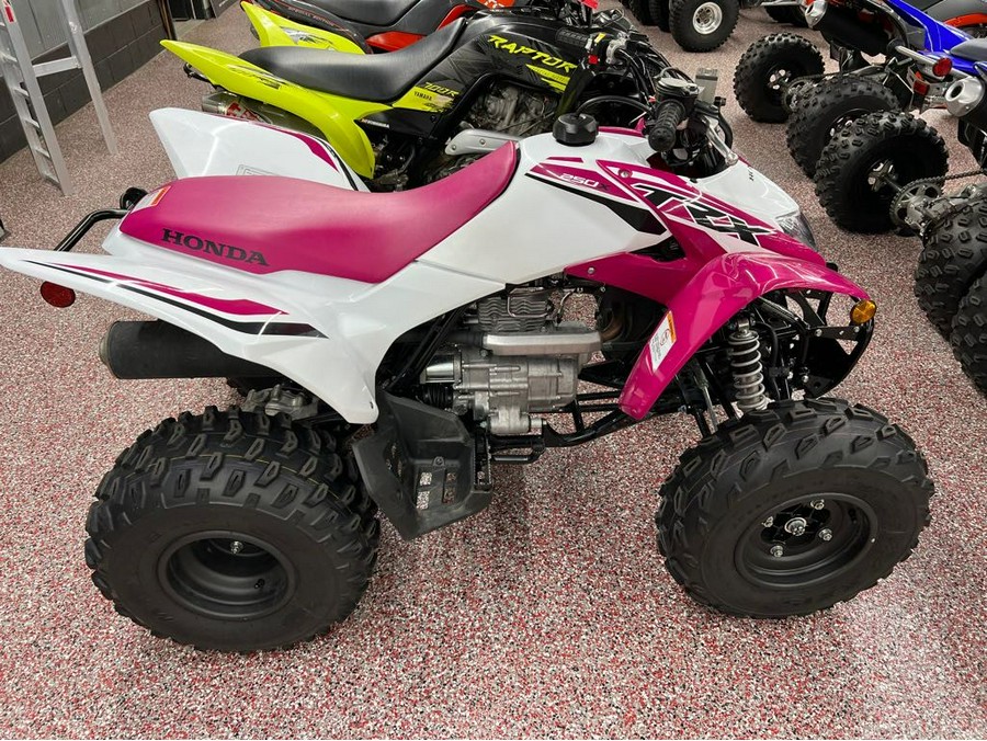 2023 Honda FOURTRAX 250X