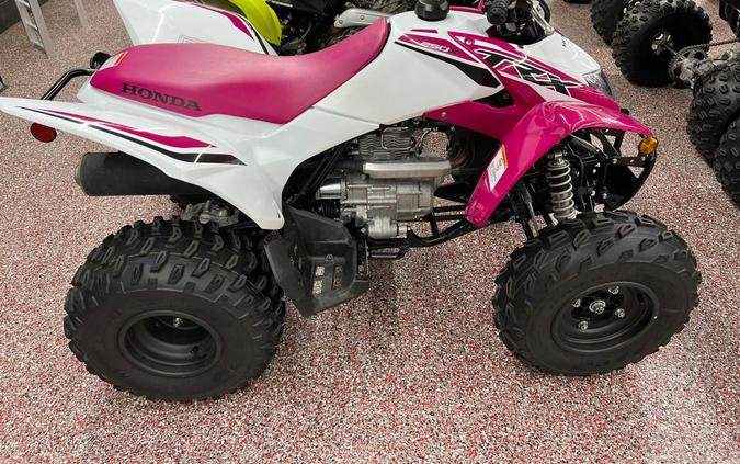 2023 Honda FOURTRAX 250X