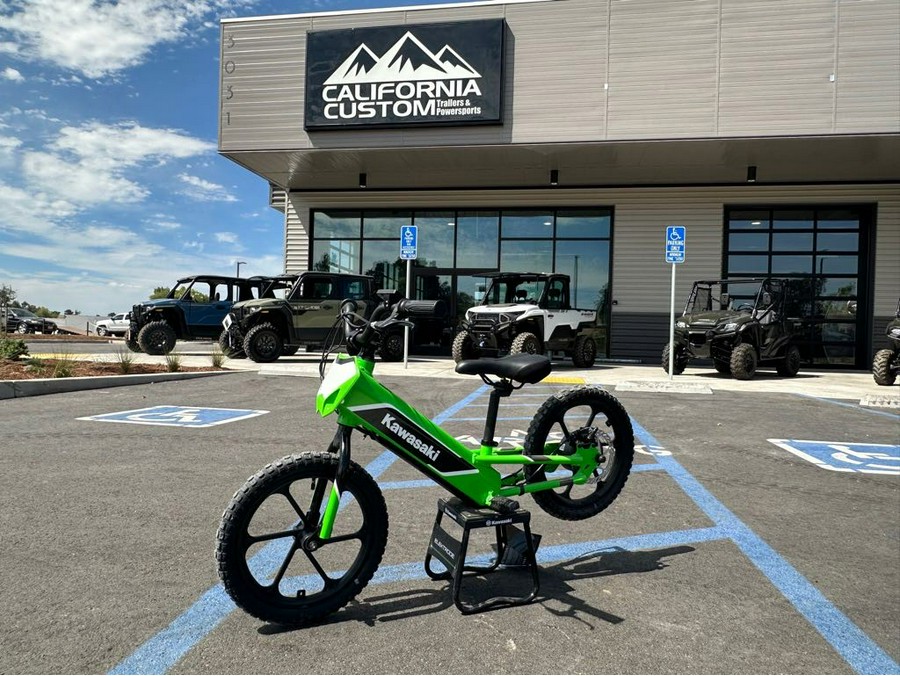 2024 Kawasaki Elektrode 16