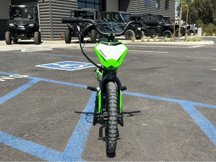 2024 Kawasaki Elektrode 16