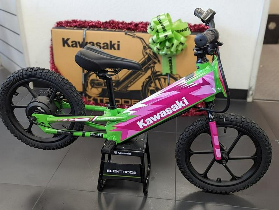 2023 Kawasaki Elektrode