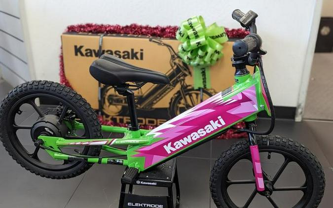 2023 Kawasaki Elektrode