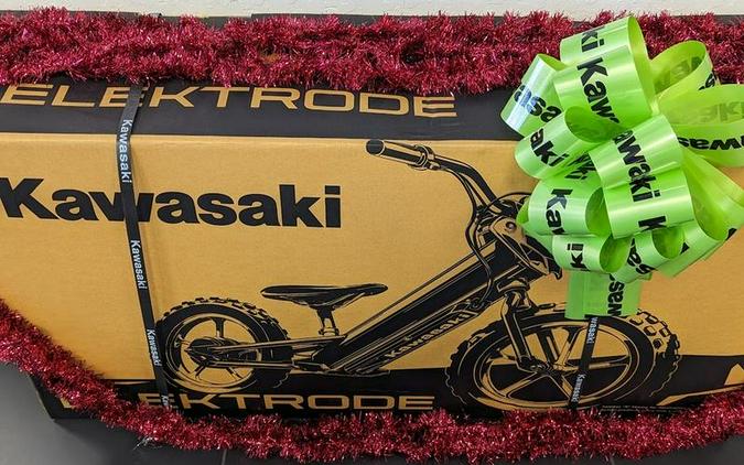 2023 Kawasaki Elektrode