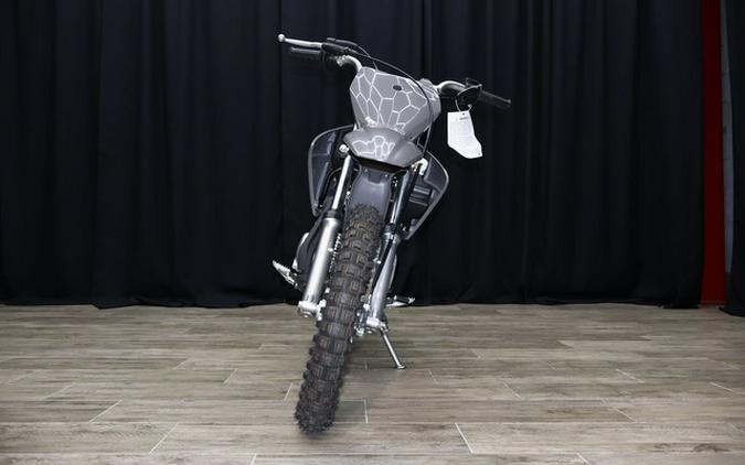 2024 Kawasaki KLX 110R L