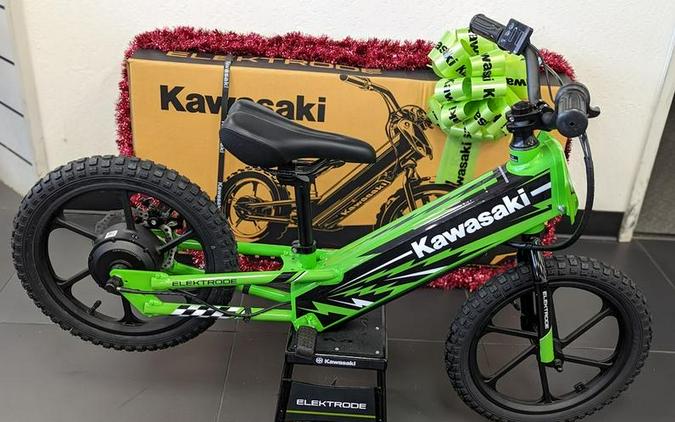 2023 Kawasaki Elektrode