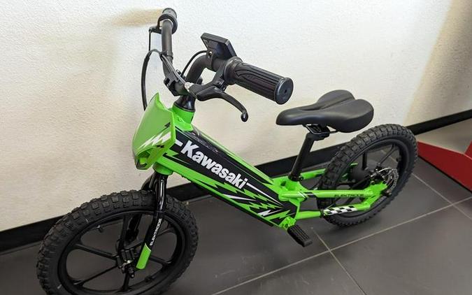 2023 Kawasaki Elektrode