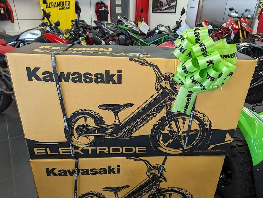 2023 Kawasaki Elektrode