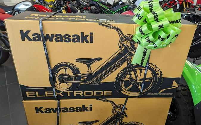 2023 Kawasaki Elektrode