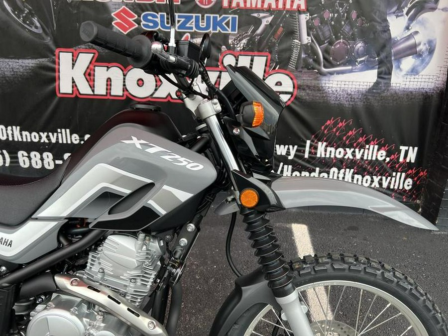 2025 Yamaha XT250S