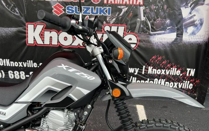 2025 Yamaha XT250S