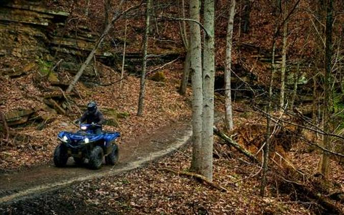 2016 Yamaha Grizzly EPS