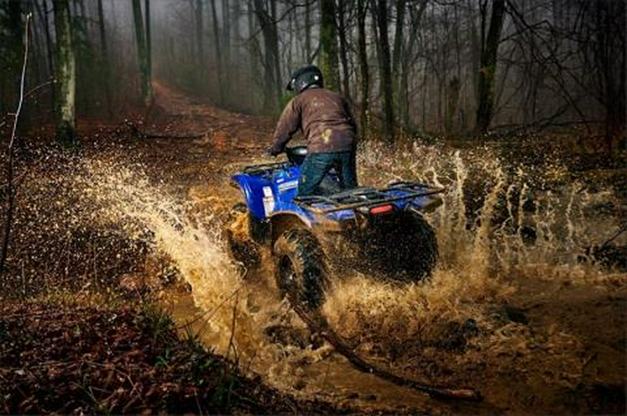 2016 Yamaha Grizzly EPS