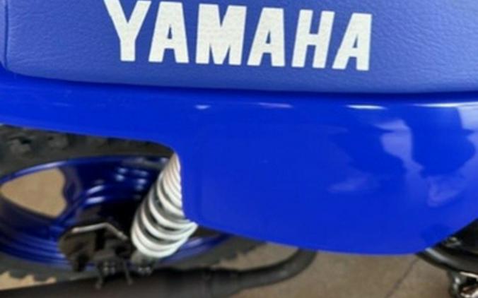 2025 Yamaha PW50 50